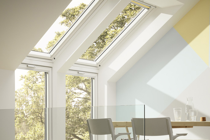 Velux Windows